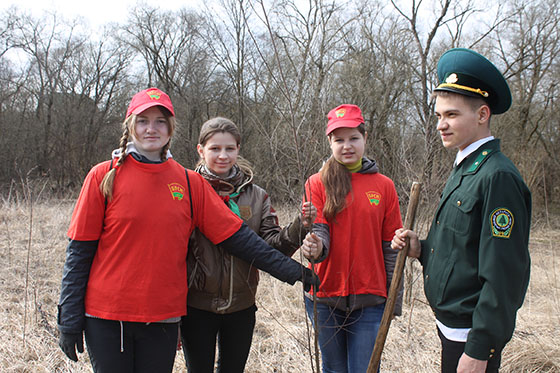 alleya-iz-molodenkih-berezok-02